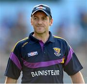 13 July 2013; Wexford manager Liam Dunne. GAA Hurling All-Ireland Senior Championship, Phase III, Clare v Wexford, Semple Stadium, Thurles, Co. Tipperary. Picture credit: Stephen McCarthy / SPORTSFILE Picture credit: Stephen McCarthy / SPORTSFILE