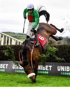 14 November 2021; Ballyshannon Rose and jockey Donal McInerney fall at the last during the Liam & Valerie Brennan Florida Pearl Novice Steeplechase on day two of the Punchestown Winter Festival at Punchestown Racecourse in Kildare. Photo by Seb Daly/Sportsfile