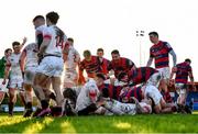 4 December 2021; Clontarf players celebrate after Cormac Daly, hidden, scored their side's second try during the Energia Men’s All-Ireland League Division 1A match between Clontarf and Dublin University at Castle Avenue in Dublin. Photo by David Fitzgerald/Sportsfile