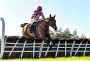 5 December 2021; Top Bandit, with Davy Russell up, jumps the last on their way to winning the BetVictor Rated Novice Hurdle at Punchestown Racecourse in Kildare. Photo by Seb Daly/Sportsfile