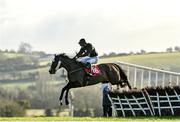 5 December 2021; Monoxide, with Gavin Brouder up, during the Old House, Kill Handicap Hurdle Div I at Punchestown Racecourse in Kildare. Photo by Seb Daly/Sportsfile