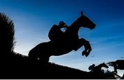 5 December 2021; Thedevilscoachman, with Mark Walsh up, jumps the last during the BetVictor Beginners Steeplechase at Punchestown Racecourse in Kildare. Photo by Seb Daly/Sportsfile