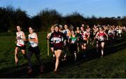 5 December 2021;A general view of runners in the Novice Women's 4000m event during the Irish Life Health National Novice, Junior, and Juvenile Uneven Age Cross Country Championships at Gowran Park in Kilkenny. Photo by Sam Barnes/Sportsfile