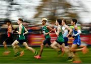 12 December 2021; Abdel Laadjel of Ireland, centre, competing in the U20 Men's 6000m during the SPAR European Cross Country Championships Fingal-Dublin 2021 at the Sport Ireland Campus in Dublin. Photo by David Fitzgerald/Sportsfile