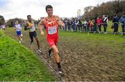 12 December 2021; Adel Mechaal of Spain competes in the Senior Men's race during the SPAR European Cross Country Championships Fingal-Dublin 2021 at the Sport Ireland Campus in Dublin. Photo by Ramsey Cardy/Sportsfile