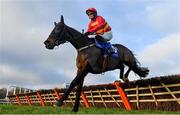 28 December 2021; Klassical Dream, with Paul Townend up, jumps the last during the first circuit on their way to winning the Dornan Engineering Christmas Hurdle on day three of the Leopardstown Christmas Festival at Leopardstown Racecourse in Dublin. Photo by Seb Daly/Sportsfile