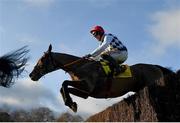 28 December 2021; Galvin, with Davy Russell up, jumps the last during the first circuit on their way to winning the Savills Steeplechase on day three of the Leopardstown Christmas Festival at Leopardstown Racecourse in Dublin. Photo by Seb Daly/Sportsfile