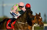 29 December 2021; Sharjah, left, with Patrick Mullins up, on their way to winning the Matheson Hurdle, from second place Zanahiyr, with Jack Kennedy up, on day four of the Leopardstown Christmas Festival at Leopardstown Racecourse in Dublin. Photo by Seb Daly/Sportsfile