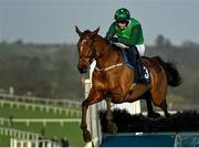 1 January 2022; El Fabiolo, with Paul Townend up, jumps the last on their way to winning the David Flynn Construction Maiden Hurdle at Tramore Racecourse in Waterford. Photo by Seb Daly/Sportsfile