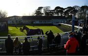 2 January 2022; Spectators view the parade ring prior to Racing at Naas Racecourse in Kildare. Photo by Harry Murphy/Sportsfile