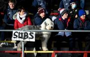 8 January 2022; Supporters and their dog watch on during the McGrath Cup group A match between Clare and Cork at Hennessy Memorial Park in Miltown Malbay, Clare. Photo by Stephen McCarthy/Sportsfile