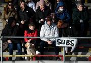 8 January 2022; Supporters and their dog watch on during the McGrath Cup group A match between Clare and Cork at Hennessy Memorial Park in Miltown Malbay, Clare. Photo by Stephen McCarthy/Sportsfile