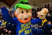 21 January 2022; The UCD Marian mascot before the InsureMyHouse.ie U20 Men's National Cup Final match between UCC Blue Demons, Cork and UCD Marian, Dublin at the National Basketball Arena in Tallaght, Dublin. Photo by Brendan Moran/Sportsfile
