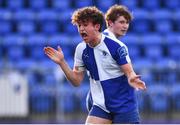26 January 2022; Tom O'Brien of St Andrews College celebrates a turnover during the Bank of Ireland Vinnie Murray Cup 1st Round match between Temple Carrig, Wicklow and St Andrews College, Dublin at Energia Park in Dublin. Photo by Ben McShane/Sportsfile