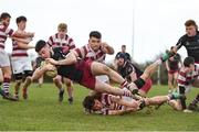 29 January 2022; Liam McCarthy of Portarlington dives over to score a try despite the efforts of Fiach Kavanagh, left, and Ben Lawless of Tullow during the Bank of Ireland Leinster Rugby Under-18 Tom D’Arcy Cup First Round match between Portarlington RFC and Tullow RFC, Carlow at Portarlington RFC in Portarlington, Laois. Photo by Sam Barnes/Sportsfile