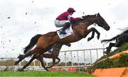 5 February 2022; Embittered, with Donagh Meyler up, jumps the first during the Patrick Ward & Co Solicitors Irish Arkle Novice Steeplechase during day one of the Dublin Racing Festival at Leopardstown Racecourse in Dublin. Photo by Seb Daly/Sportsfile