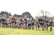 6 February 2022; A general view of the start of the minor girls race during the Irish Life Health Connacht Schools Cross Country at Bushfield in Loughrea, Galway. Photo by Ben McShane/Sportsfile