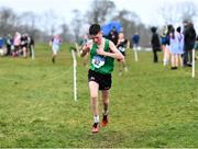 6 February 2022; Stephen Ruane of Calasanctius College Oranmore celebrates on his way to winning the minor boys race during the Irish Life Health Connacht Schools Cross Country at Bushfield in Loughrea, Galway. Photo by Ben McShane/Sportsfile