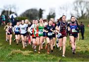 6 February 2022; Aoibhinn Redington of Presentation College Tuam, Galway, leads the field whilst competing in the intermediate girls event during the Irish Life Health Connacht Schools Cross Country at Bushfield in Loughrea, Galway. Photo by Ben McShane/Sportsfile