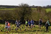 6 February 2022; A general view of the field in the intermediate boys event during the Irish Life Health Connacht Schools Cross Country at Bushfield in Loughrea, Galway. Photo by Ben McShane/Sportsfile