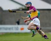 28 March 2004; Barry Lambert, Wexford. Allianz Hurling League, Division 1B, Offaly v Wexford, St. Brendan's Park, Birr, Co. Offaly. Picture credit; David Maher / SPORTSFILE *EDI*