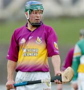 28 March 2004; Paul Carley, Wexford. Allianz Hurling League, Division 1B, Offaly v Wexford, St. Brendan's Park, Birr, Co. Offaly. Picture credit; David Maher / SPORTSFILE *EDI*
