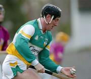 28 March 2004; Brian Whelahan, Offaly. Allianz Hurling League, Division 1B, Offaly v Wexford, St. Brendan's Park, Birr, Co. Offaly. Picture credit; David Maher / SPORTSFILE *EDI*