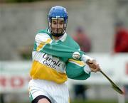 28 March 2004; David Franks, Offaly. Allianz Hurling League, Division 1B, Offaly v Wexford, St. Brendan's Park, Birr, Co. Offaly. Picture credit; David Maher / SPORTSFILE *EDI*