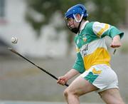 28 March 2004; Brian Carroll, Offaly. Allianz Hurling League, Division 1B, Offaly v Wexford, St. Brendan's Park, Birr, Co. Offaly. Picture credit; David Maher / SPORTSFILE *EDI*