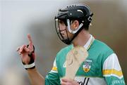 28 March 2004; Gary Hanniffy, Offaly. Allianz Hurling League, Division 1B, Offaly v Wexford, St. Brendan's Park, Birr, Co. Offaly. Picture credit; David Maher / SPORTSFILE *EDI*