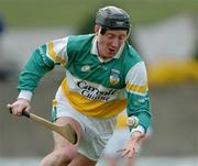28 March 2004; Brian Whelahan, Offaly. Allianz Hurling League, Division 1B, Offaly v Wexford, St. Brendan's Park, Birr, Co. Offaly. Picture credit; David Maher / SPORTSFILE *EDI*