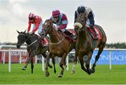 29 July 2013; Dark Crusader, right, with Fran Berry up, races clear of Lady Giselle, centre, with Gary Carroll up, who finished second, and Pay Day Kitten, left, with Conor King up, who finished third, on their way to winning the Galway Oyster Hotel Handicap. Following a stewards enquiry Lady Giselle was disqualified and second place was awarded to Pay Day Kitten. Galway Racing Festival, Ballybrit, Co. Galway. Picture credit: Barry Cregg / SPORTSFILE