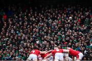5 February 2022; Supporters look on during the Guinness Six Nations Rugby Championship match between Ireland and Wales at the Aviva Stadium in Dublin. Photo by David Fitzgerald/Sportsfile