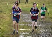 6 February 2022; Evan Collins, left, and Aaron Concannon of Colaiste Bhaile Chlair competing in the junior boys event during the Irish Life Health Connacht Schools Cross Country at Bushfield in Loughrea, Galway. Photo by Ben McShane/Sportsfile