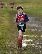 6 February 2022; Ryan Gaughan of St Josephs Foxford competing in the junior boys event during the Irish Life Health Connacht Schools Cross Country at Bushfield in Loughrea, Galway. Photo by Ben McShane/Sportsfile