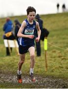 6 February 2022; Dara Dawson of Rice College Westport competing in the junior boys event during the Irish Life Health Connacht Schools Cross Country at Bushfield in Loughrea, Galway. Photo by Ben McShane/Sportsfile