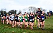 6 February 2022; Aoibhinn Redington of Presentation College Tuam leads the field at the start of the intermediate girls event during the Irish Life Health Connacht Schools Cross Country at Bushfield in Loughrea, Galway. Photo by Ben McShane/Sportsfile