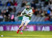 12 February 2022; Henry Shefflin, son of former Shamrocks and Kilkenny hurler Henry Shefflin, playing in the half-time mini-game at the AIB GAA Hurling All-Ireland Senior Club Championship Final match between Ballygunner, Waterford, and Shamrocks, Kilkenny, at Croke Park in Dublin. Photo by Stephen McCarthy/Sportsfile