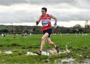 13 February 2022; Thomas Lupton of Portlaoise AC, Laois, competing in the over 35 men's 7000m at The Irish Life Health National Intermediate, Master, Juvenile B & Relays Cross Country Championships in Castlelyons, Cork. Photo by Sam Barnes/Sportsfile