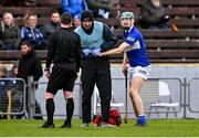 13 February 2022; Seán Downey of Laois receives medical attention from team physiotherapist John Sugrue during the Allianz Hurling League Division 1 Group B match between Waterford and Laois at Walsh Park in Waterford. Photo by Piaras Ó Mídheach/Sportsfile