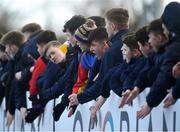 18 February 2022; Supporters during the Bank of Ireland Leinster Rugby Schools Senior Cup 1st Round match between Terenure College and St Fintan’s High School at Castle Avenue in Dublin. Photo by David Fitzgerald/Sportsfile