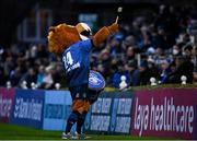 19 February 2022; Leo the Lion during the United Rugby Championship match between Leinster and Ospreys at RDS Arena in Dublin. Photo by Harry Murphy/Sportsfile
