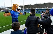 19 February 2022; Leinster mascot Leo the Lion engages with supporters before the United Rugby Championship match between Leinster and Ospreys at RDS Arena in Dublin. Photo by Brendan Moran/Sportsfile