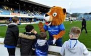 19 February 2022; Leinster mascot Leo the Lion engages with supporters before the United Rugby Championship match between Leinster and Ospreys at RDS Arena in Dublin. Photo by Brendan Moran/Sportsfile