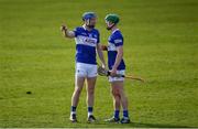 27 February 2022; Stephen Maher, left, and Ross King of Laois discuss tactics during the Allianz Hurling League Division 1 Group B match between Kilkenny and Laois at UPMC Nowlan Park in Kilkenny. Photo by Ray McManus/Sportsfile
