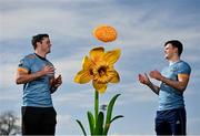 28 February 2022; UCD and Ireland rugby player James Ryan, left, and his brother, UCD player David Ryan, launch UCD Rugby's annual Daffodil Day collection, in aid of the Irish Cancer Society this Thursday March 3rd across the UCD Campus, as well as online. To date this annual event has raised €60,000 of vital funds for Cancer Research. The event is being run by the UCD BSc Sport & Exercise Management second year class who have assisted the Club in arranging this year’s fundraising initiatives. To donate to this year’s fundraising initiative please visit www.ucdrugby.com The Irish Cancer Society’s Daffodil Day takes place across Ireland on March 25. Photo by David Fitzgerald/Sportsfile