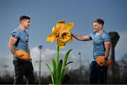 28 February 2022; UCD and Ireland rugby player Garry Ringrose, left, and his brother, UCD player Jack Ringrose, launch UCD Rugby's annual Daffodil Day collection, in aid of the Irish Cancer Society this Thursday March 3rd across the UCD Campus, as well as online. To date this annual event has raised €60,000 of vital funds for Cancer Research. The event is being run by the UCD BSc Sport & Exercise Management second year class who have assisted the Club in arranging this year’s fundraising initiatives. To donate to this year’s fundraising initiative please visit www.ucdrugby.com The Irish Cancer Society’s Daffodil Day takes place across Ireland on March 25. Photo by David Fitzgerald/Sportsfile