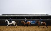 28 February 2022; Grand Paradis, with Junior up, left, Imagine, with Luke McGuinness up, centre, and Tiger Roll, with Jack Madden up, during a visit to Gordon Elliott's yard in Longwood, Co. Meath. Photo by Ramsey Cardy/Sportsfile