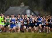 3 March 2022; Conor O'Loughlin of CBS High School Clonmel, centre, competing in the intermediate boys 5000m during the Irish Life Health Munster Schools Cross Country Championships at Riverstick, Boulaling, Cork. Photo by David Fitzgerald/Sportsfile