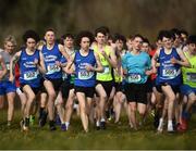 3 March 2022; A general view of the senior boys 6000m  during the Irish Life Health Munster Schools Cross Country Championships at Riverstick, Boulaling, Cork. Photo by David Fitzgerald/Sportsfile